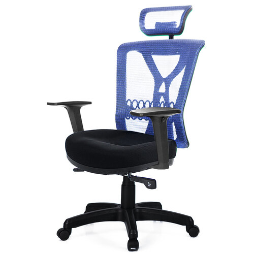 GXG 高背電腦椅 (2D升降扶手) TW-8095 EA2