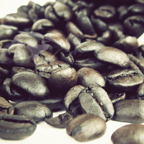 【Gustare caffe】精選西達摩咖啡豆（Sidamo)半磅