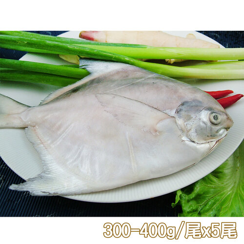 【新鮮市集】鮮嫩富貴白鯧魚5尾(300-400g/尾)