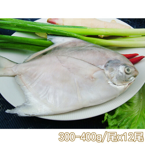 【新鮮市集】鮮嫩富貴白鯧魚12尾(300-400g/尾)