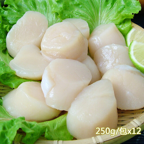 【新鮮市集】北海道生食級特大滿足鮮干貝12包(250g/包)