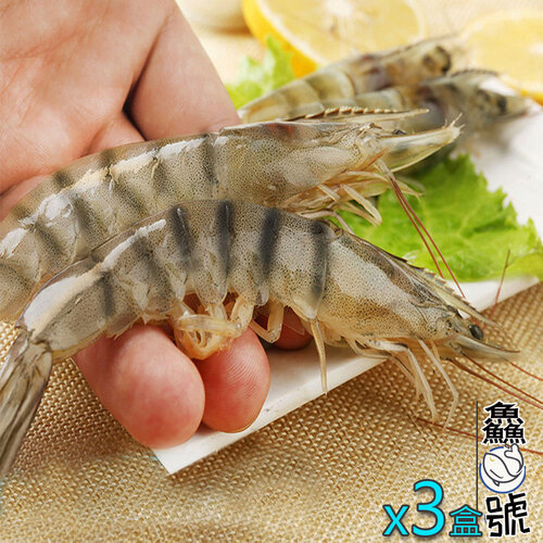 【鱻魚號】台灣海水自然養殖法L級白蝦11-15隻入組(淨重300公克5%)x3盒