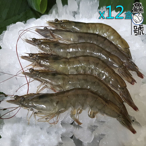 【鱻魚號】台灣海水自然養殖法L級白蝦11-15隻入組(淨重300公克5%)x12盒