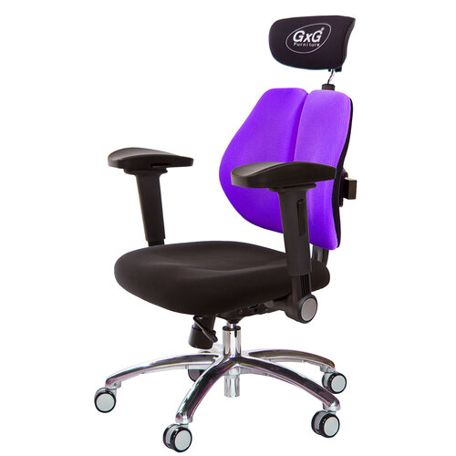 GXG 雙軸枕 雙背工學椅(鋁腳/4D弧面摺疊手) TW-2606 LUA1D