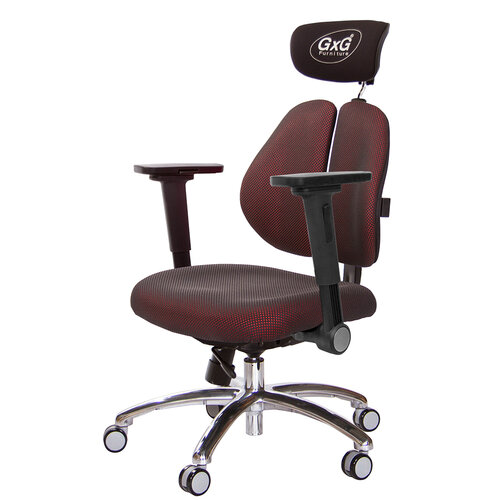 GXG 雙軸枕 雙背工學椅(鋁腳/4D平面摺疊扶手) TW-2606 LUA1H