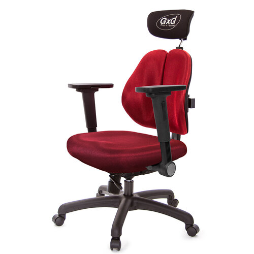 GXG 雙軸枕 雙背工學椅(4D平面摺疊扶手) TW-2606 EA1H