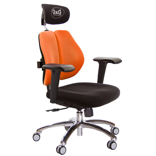 GXG 雙軸枕 雙背電腦椅(鋁腳/4D升降扶手) TW-2604 LUA3