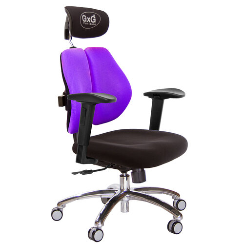 GXG 雙軸枕 雙背電腦椅(鋁腳/2D滑面升降扶手) TW-2604 LUA2J