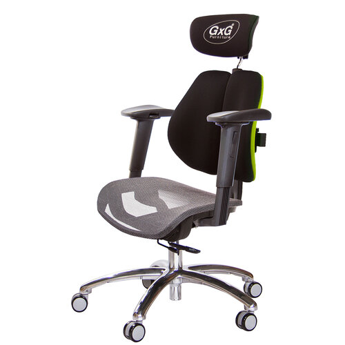 GXG 雙軸枕 雙背工學椅(鋁腳/2D手遊休閒扶手) 中灰網座 TW-2706 LUA2JM
