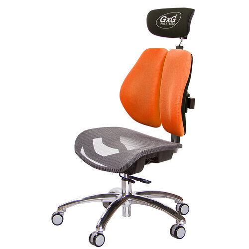 GXG 雙軸枕 雙背工學椅(鋁腳/無扶手) 中灰網座 TW-2706 LUANH