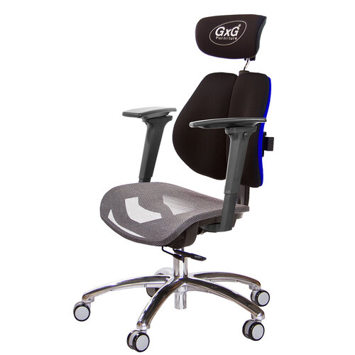 GXG 雙軸枕 雙背工學椅(鋁腳/3D手遊休閒扶手) 中灰網座 TW-2706 LUA9M