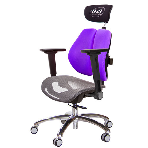 GXG 雙軸枕 雙背工學椅(鋁腳/4D平面摺疊手) 中灰網座 TW-2706 LUA1H
