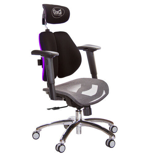 GXG 雙軸枕 雙背電腦椅(鋁腳/2D手遊休閒扶手) 中灰網座 TW-2704 LUA2JM
