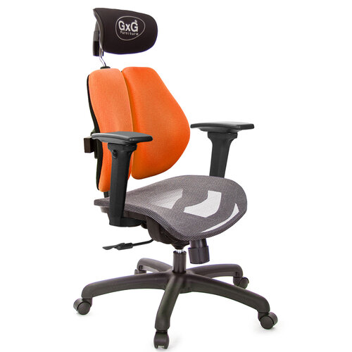 GXG 雙軸枕 雙背電腦椅(3D升降扶手) 中灰網座 TW-2704 EA9