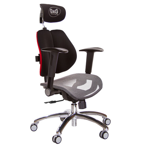 GXG 雙軸枕 雙背電腦椅(鋁腳/摺疊升降扶手) 中灰網座 TW-2704 LUA1