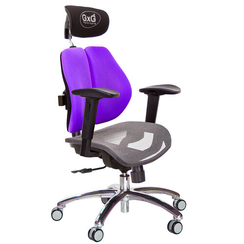 GXG 雙軸枕 雙背電腦椅(鋁腳/2D滑面升降扶手) 中灰網座 TW-2704 LUA2J