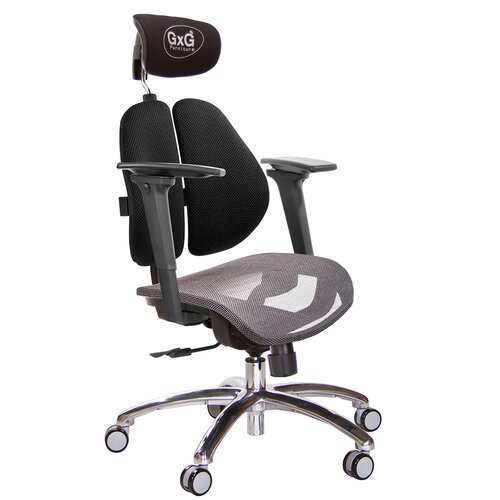 GXG 雙軸枕 雙背電腦椅(鋁腳/3D手遊休閒扶手) 中灰網座 TW-2704 LUA9M