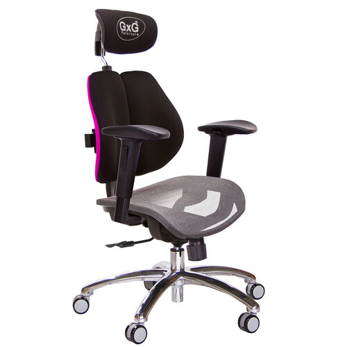 GXG 雙軸枕 雙背電腦椅(2D手遊休閒扶手) 中灰網座 TW-2704 EA2JM