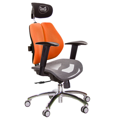 GXG 雙軸枕 雙背電腦椅(鋁腳/2D升降扶手) 中灰網座 TW-2704 LUA2