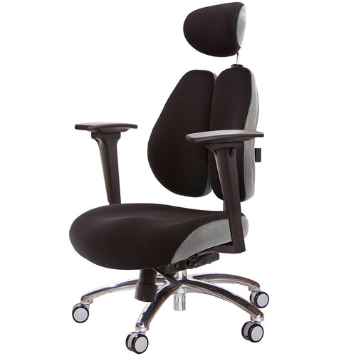 GXG 雙背DUO KING 工學椅(鋁腳/3D升降扶手) TW-3006 LUA9