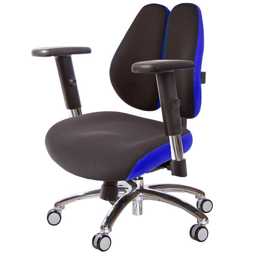GXG 低雙背DUO KING 工學椅(鋁腳/SO金屬手) TW-3005 LU5