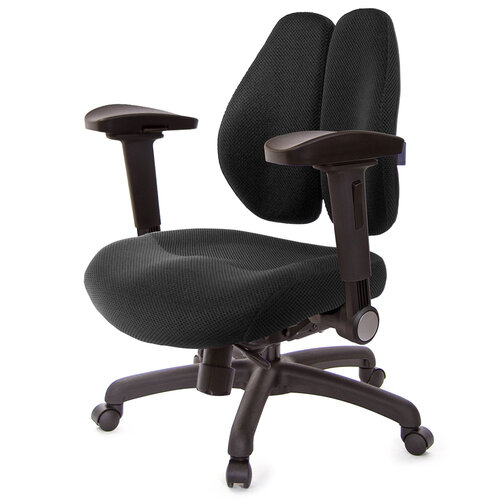 GXG 低雙背DUO KING 工學椅(4D弧面摺疊手) TW-3005 E1D