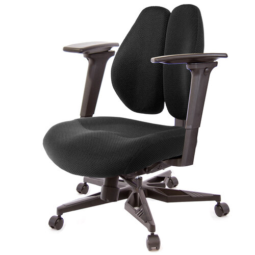 GXG 低雙背DUO KING 工學椅(電競腳/3D手遊休閒扶手) TW-3005 KG9M