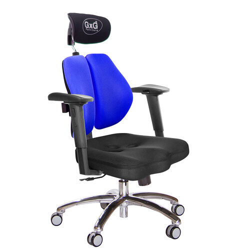 GXG 兩軸枕 雙背美臀椅 (鋁腳/2D手遊休閒扶手) TW-2534 LUA2JM