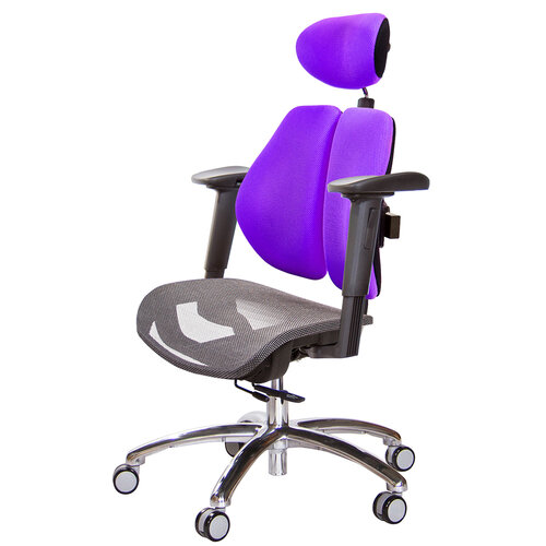 GXG 高雙背網座 工學椅(鋁腳/2D手遊休閒扶手) TW-2806 LUA2JM