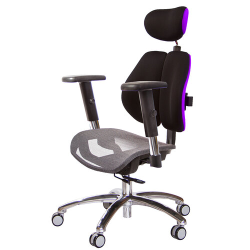 GXG 高雙背網座 工學椅 (鋁腳/升降扶手) TW-2806 LUA5