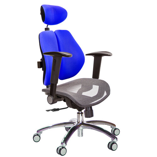 GXG 高雙背網座 電腦椅 (鋁腳/摺疊升降扶手) TW-2804 LUA1