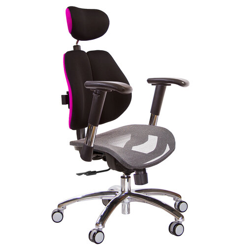 GXG 高雙背網座 工學椅(鋁腳/2D滑面金屬扶手) TW-2804 LUA6
