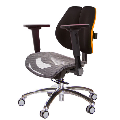 GXG 低雙背網座 工學椅(4D平面摺疊手) TW-2805 LU1H