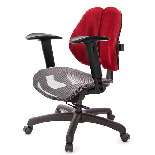 GXG 低雙背網座 工學椅(2D升降手) TW-2805 E2