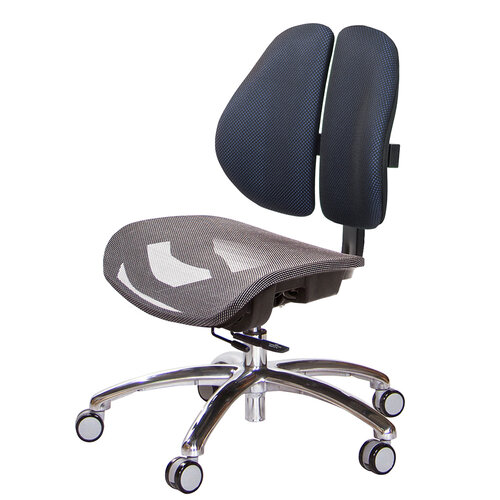 GXG 低雙背網座 工學椅(鋁腳/無扶手) TW-2805 LUNH