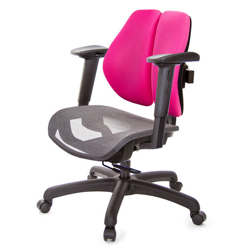 GXG 低雙背網座 工學椅(2D手遊休閒扶手) TW-2805 E2JM