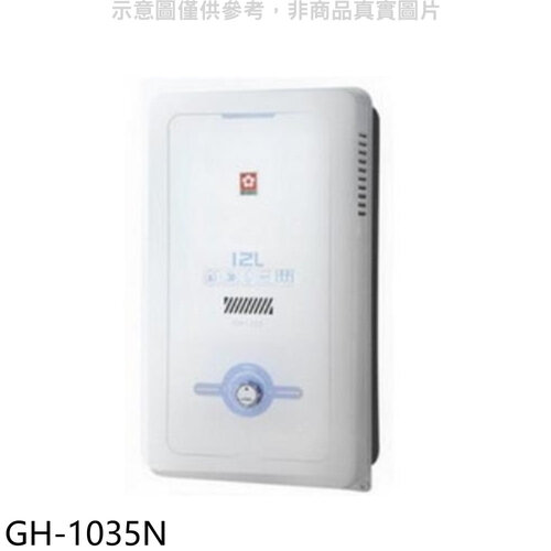 櫻花 10公升ABS防空燒RF式NG1熱水器ABS式天然氣(全省安裝)【GH-1035N】