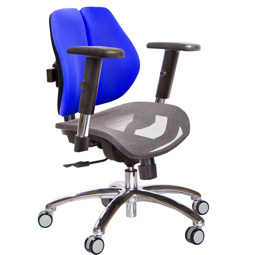 GXG 低雙背網座 電腦椅(鋁腳/SO金屬扶手) TW-2803 LU5