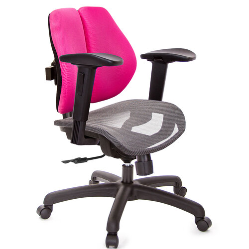GXG 低雙背網座 電腦椅(2D滑面升降扶手) TW-2803 E2J