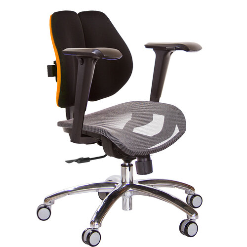 GXG 低雙背網座 電腦椅(鋁腳/4D升降扶手) TW-2803 LU3