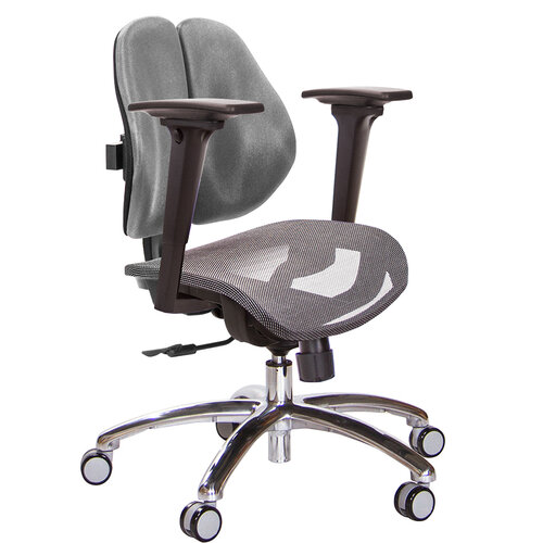 GXG 低雙背網座 電腦椅(鋁腳/3D升降扶手) TW-2803 LU9
