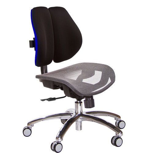 GXG 低雙背網座 電腦椅(鋁腳/無扶手) TW-2803 LUNH