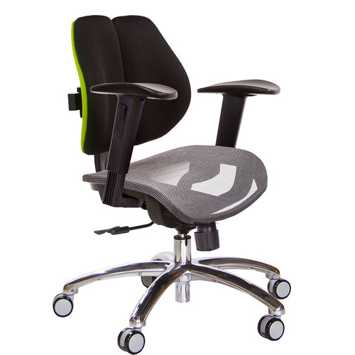 GXG 低雙背網座 電腦椅(鋁腳/2D升降扶手) TW-2803 LU2