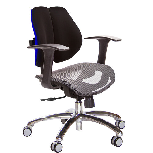 GXG 低雙背網座 電腦椅(鋁腳/T字扶手) TW-2803 LU