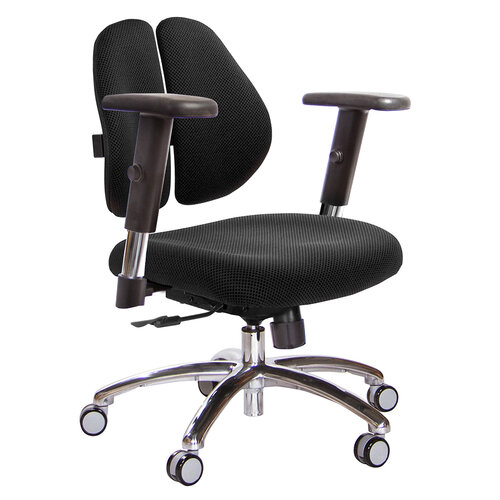 GXG 低雙背 電腦椅(鋁腳/SO金屬扶手) TW-2603 LU5