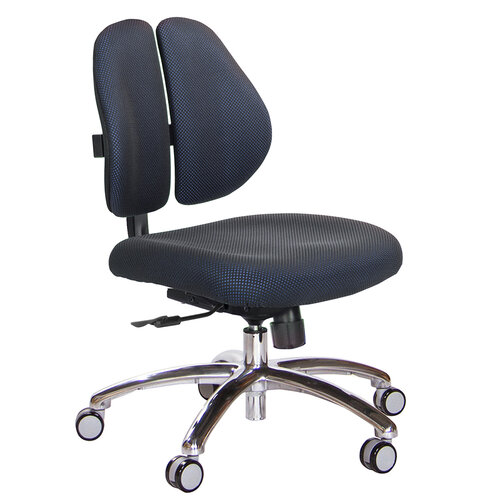 GXG 低雙背 電腦椅(鋁腳/無扶手) TW-2603 LUNH