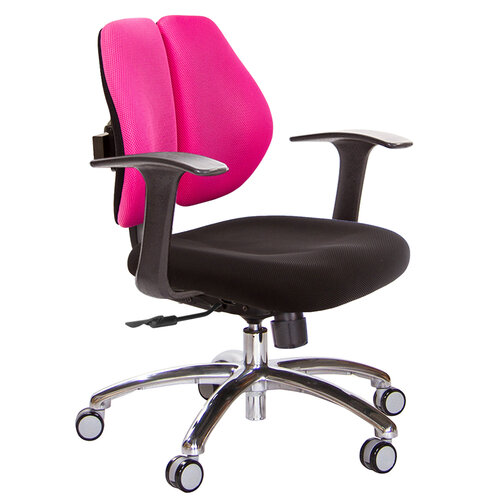 GXG 低雙背 電腦椅(鋁腳/T字扶手) TW-2603 LU