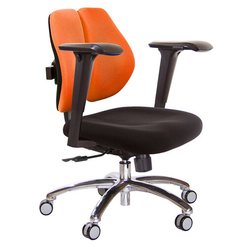 GXG 低雙背 電腦椅(鋁腳/4D升降扶手) TW-2603 LU3