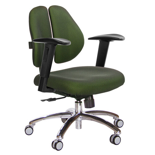 GXG 低雙背 電腦椅(鋁腳/2D升降扶手) TW-2603 LU2