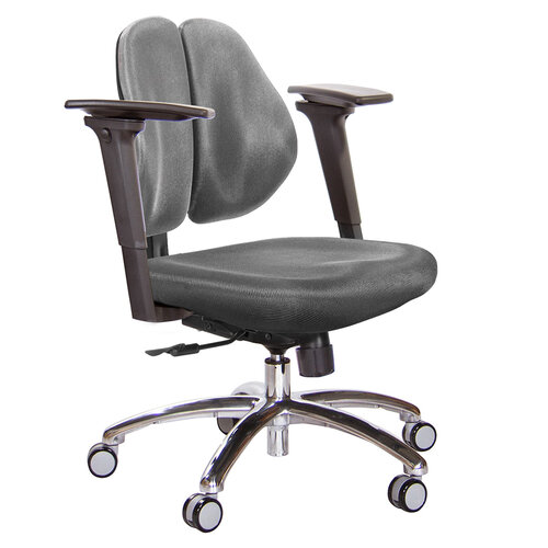 GXG 低雙背 電腦椅(鋁腳/3D手遊休閒扶手) TW-2603 LU9M